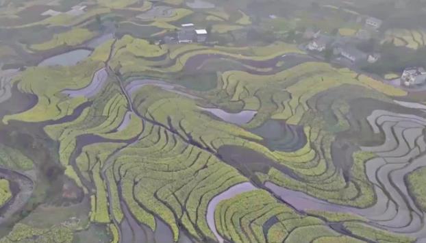 漢陰“鳳堰梯田”入選世界灌溉工程遺產名錄