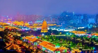 政協西安市第十五屆委員會2024年工作綜述