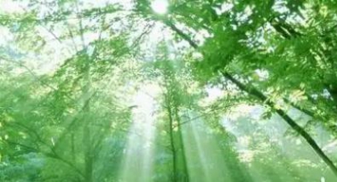 穩健醫療綠色發展之路：綠色手術室的創新實踐